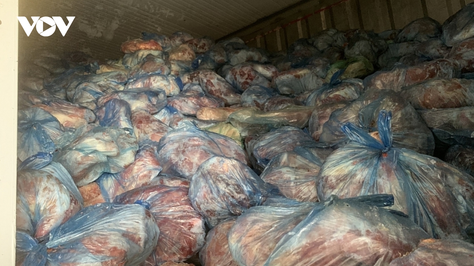 Phát hiện và tiêu huỷ 40 tấn thịt lợn nhiễm dịch tả lợn châu Phi