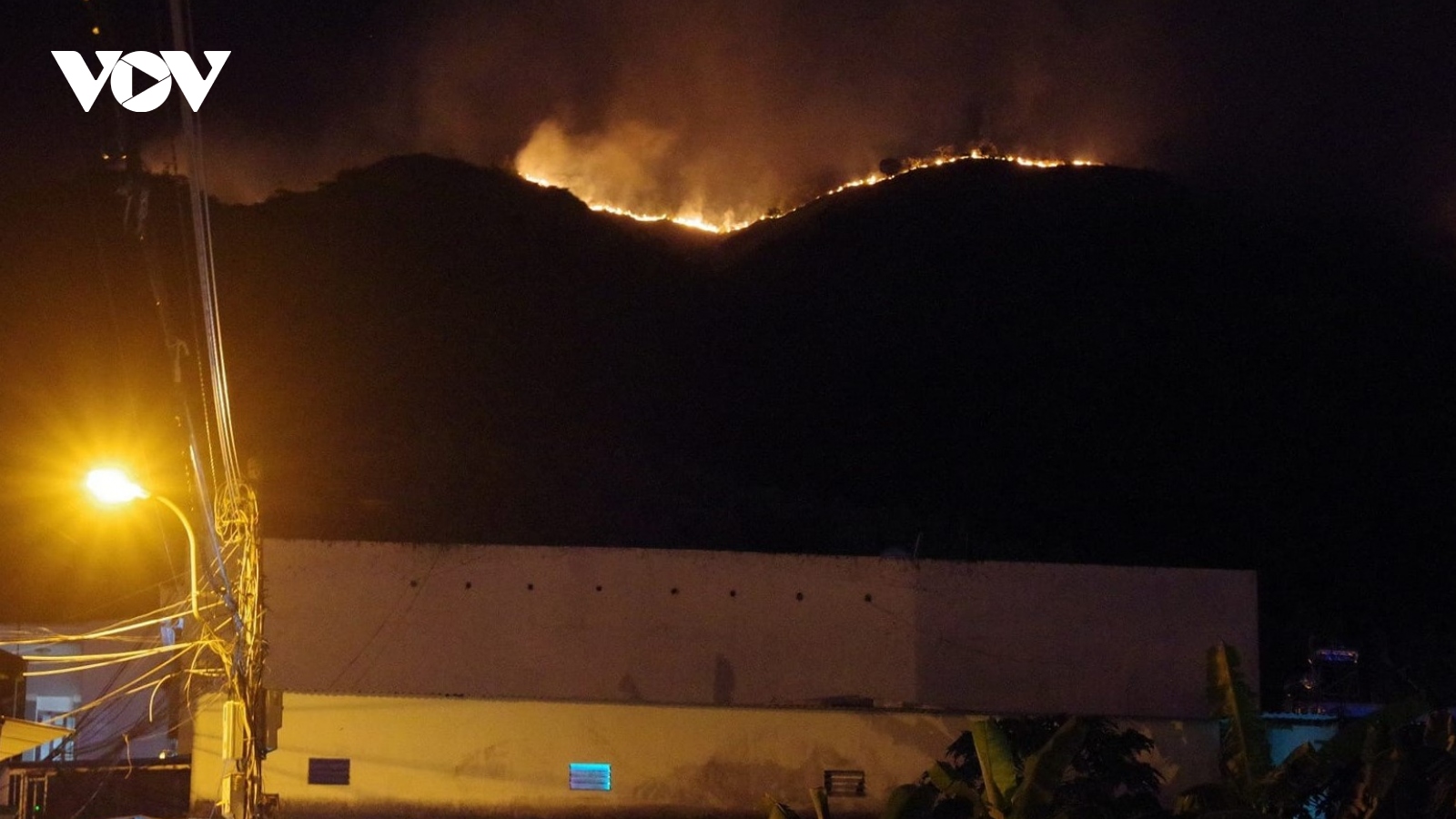 Khánh Hòa: Vụ cháy trên núi Cô Tiên không thiệt hại về rừng
