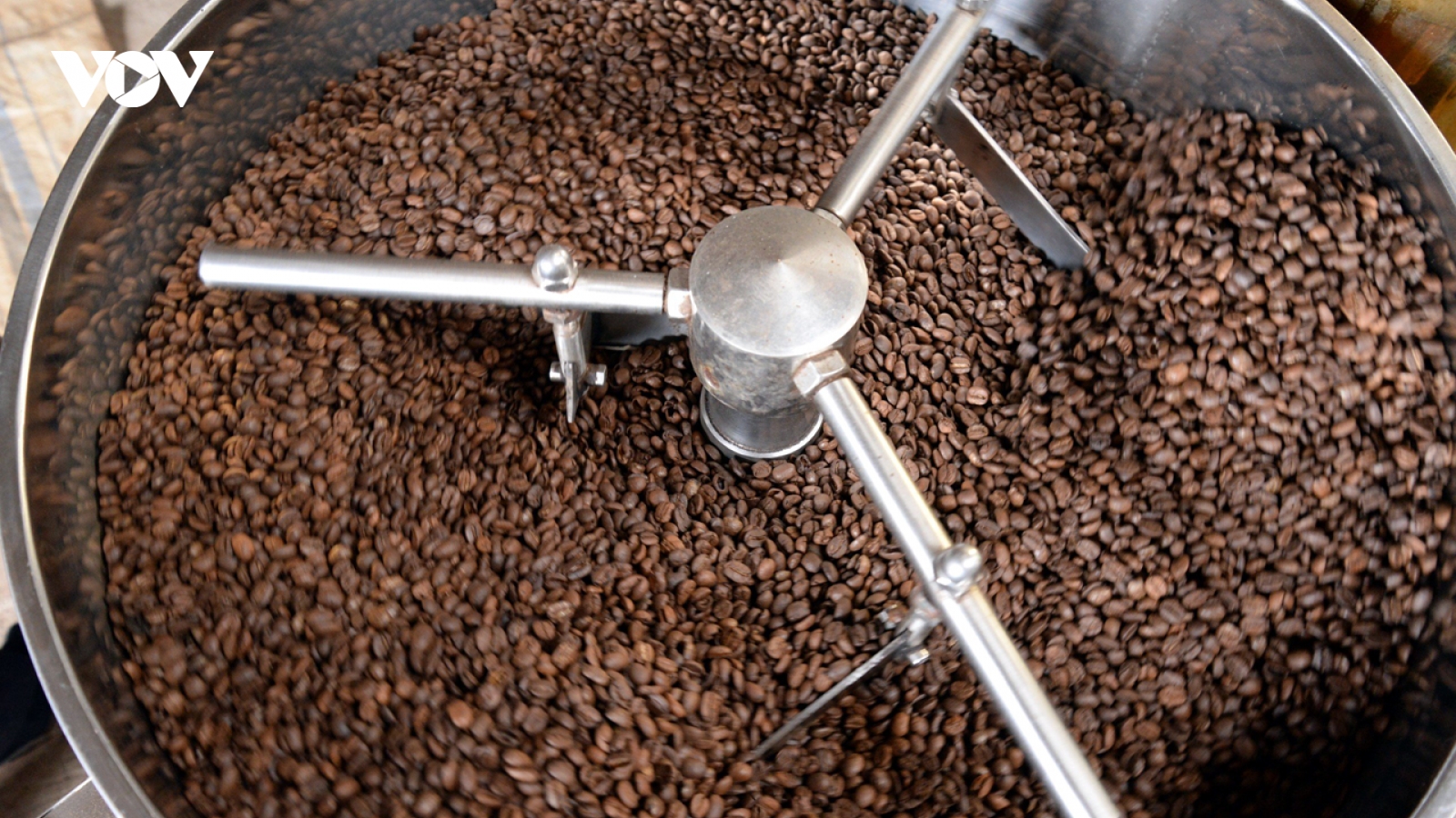 Giá cà phê ngày 18/3: Cà phê trong nước thu mua cao nhất 93.200 đồng/kg