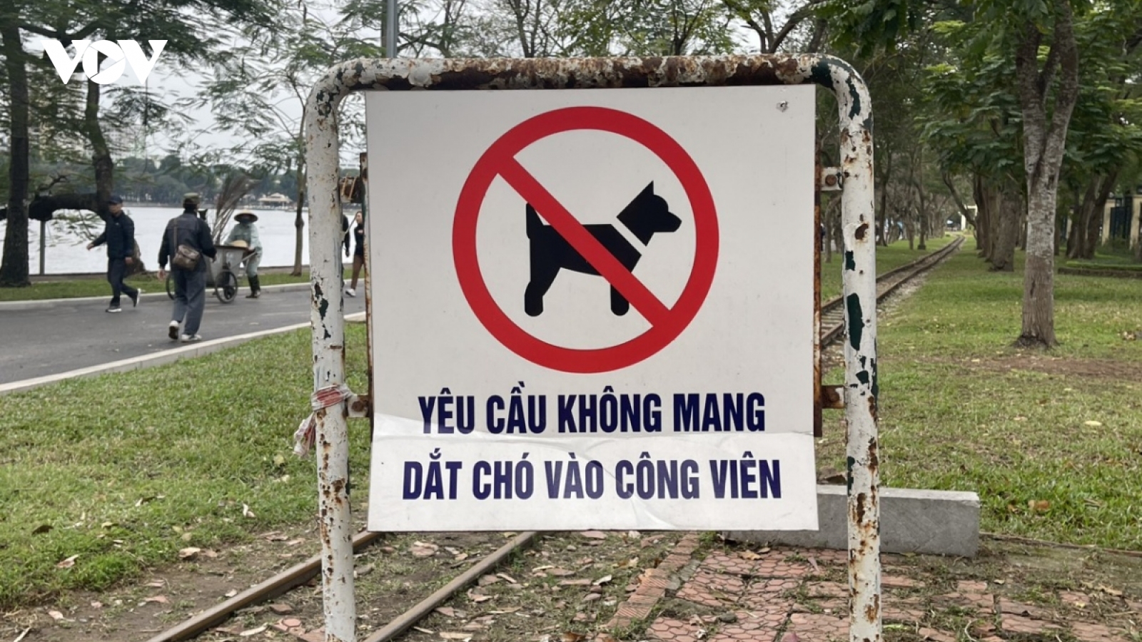 Người dân tốn 600 tỷ đồng tiêm phòng bệnh dại, chuyên gia nói gì?