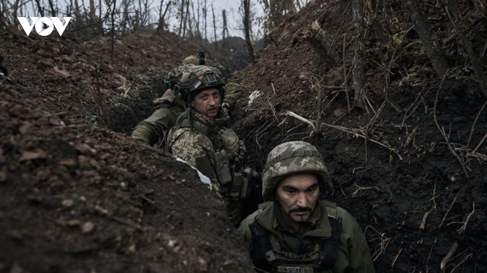 Báo Mỹ tiết lộ vai trò bí mật của CIA nhằm giúp Ukraine chống lại Nga