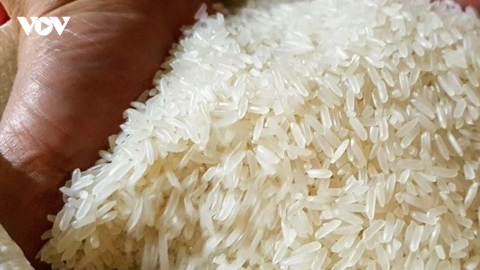 Thế giới có thiếu gạo vì căng thẳng an ninh ở Biển Đỏ?