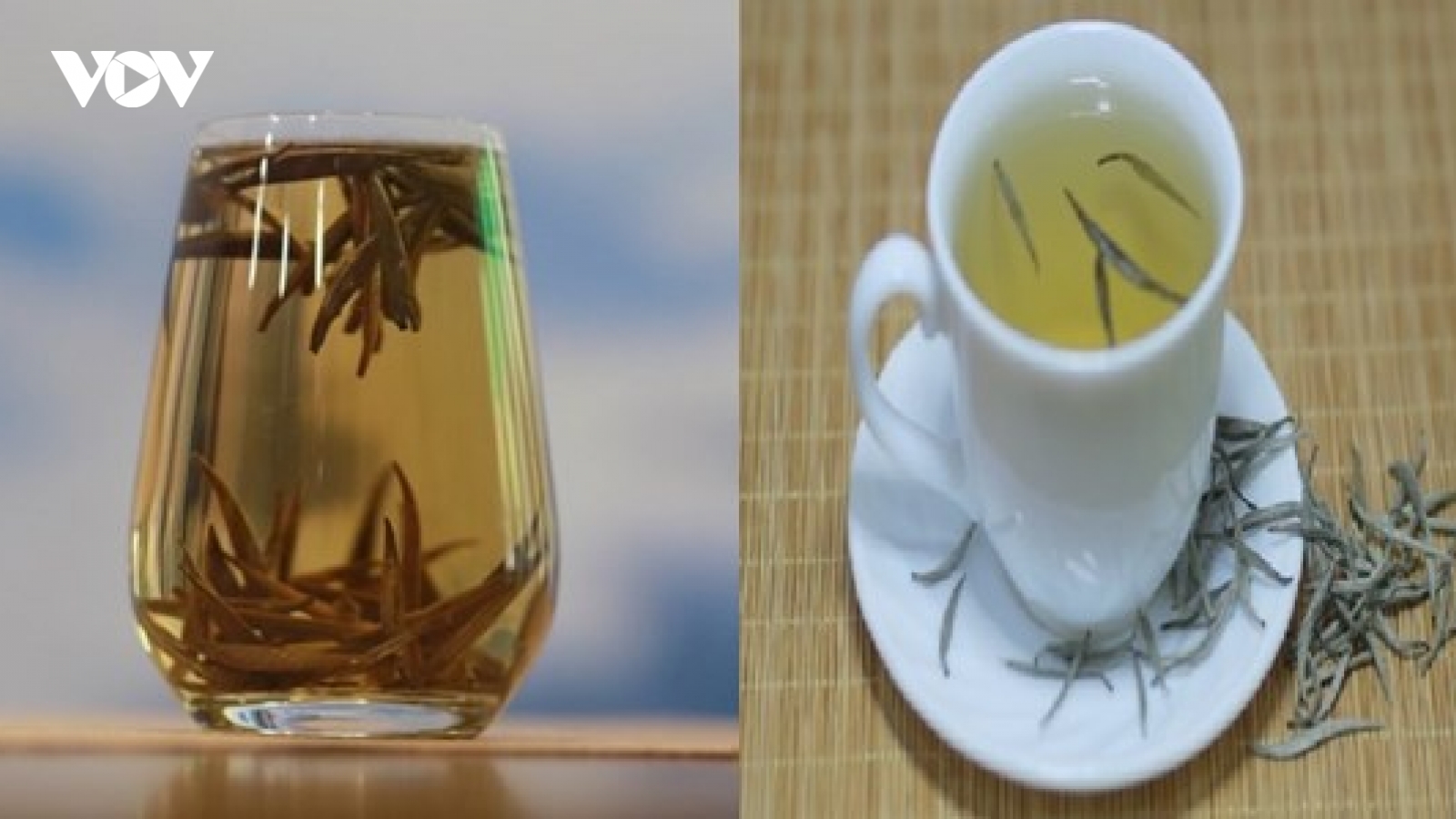 Đặc sản quý hiếm từ cây nghìn năm, giá hơn nửa tỷ đồng/kg