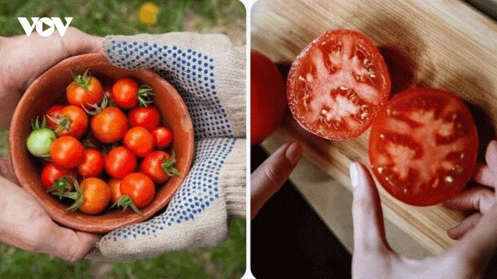 Điều gì sẽ xảy ra nếu bạn ăn một nửa quả cà chua mỗi ngày?