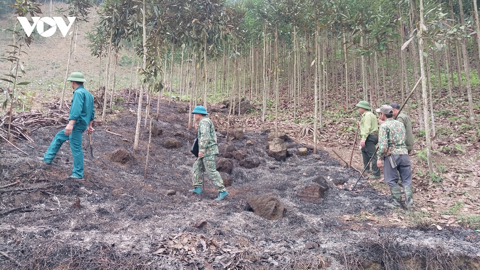 Lào Cai chủ động ứng phó trước nguy cơ cháy rừng