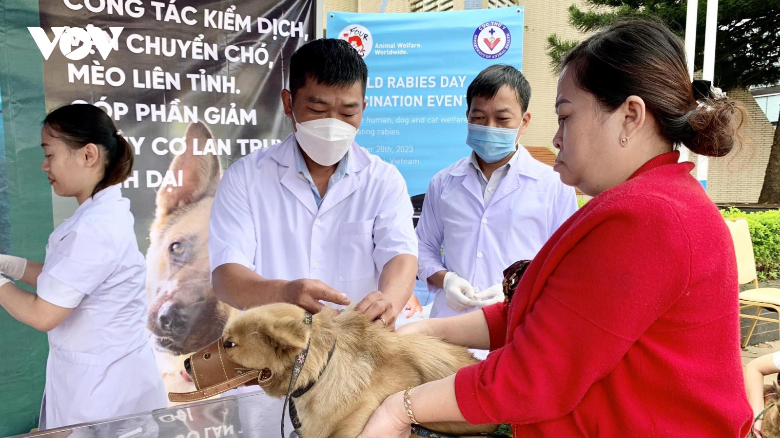 Một học sinh tử vong sau 2 tháng bị chó cắn