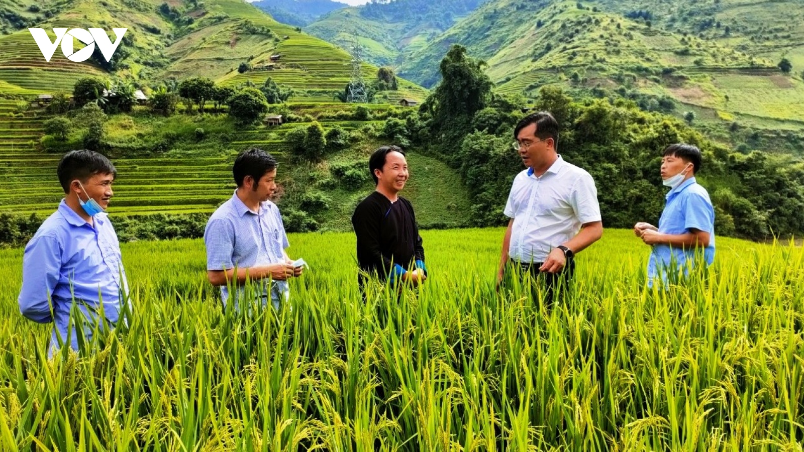 Yên Bái hướng tới mục tiêu phát triển nông nghiệp sinh thái