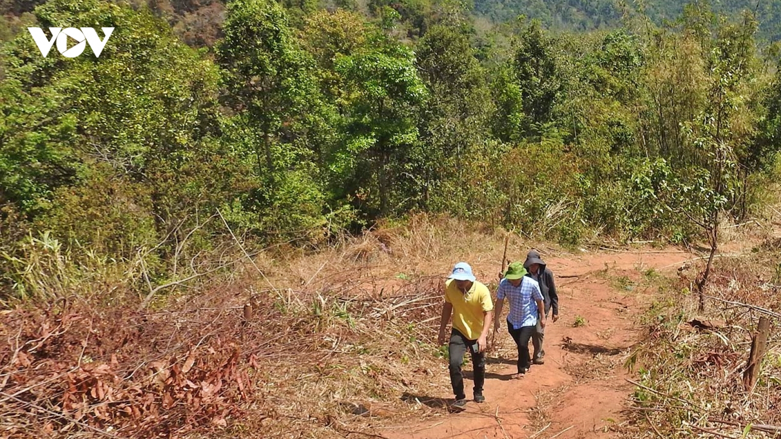 Kon Tum tăng cường lực lượng, phương tiện phòng chống cháy rừng