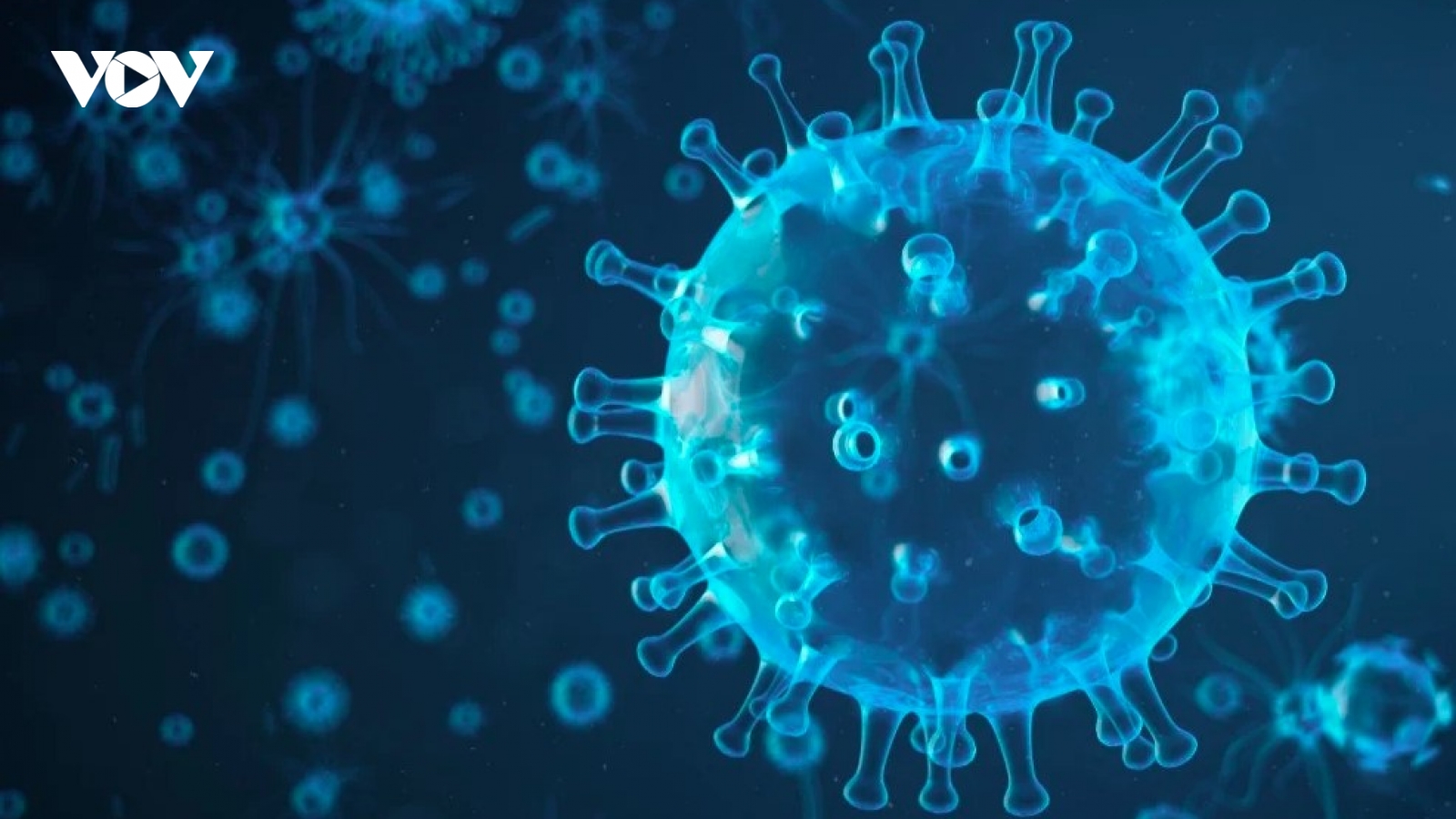Virus cúm H5N1 lần đầu tiên được phát hiện ở Nam Cực
