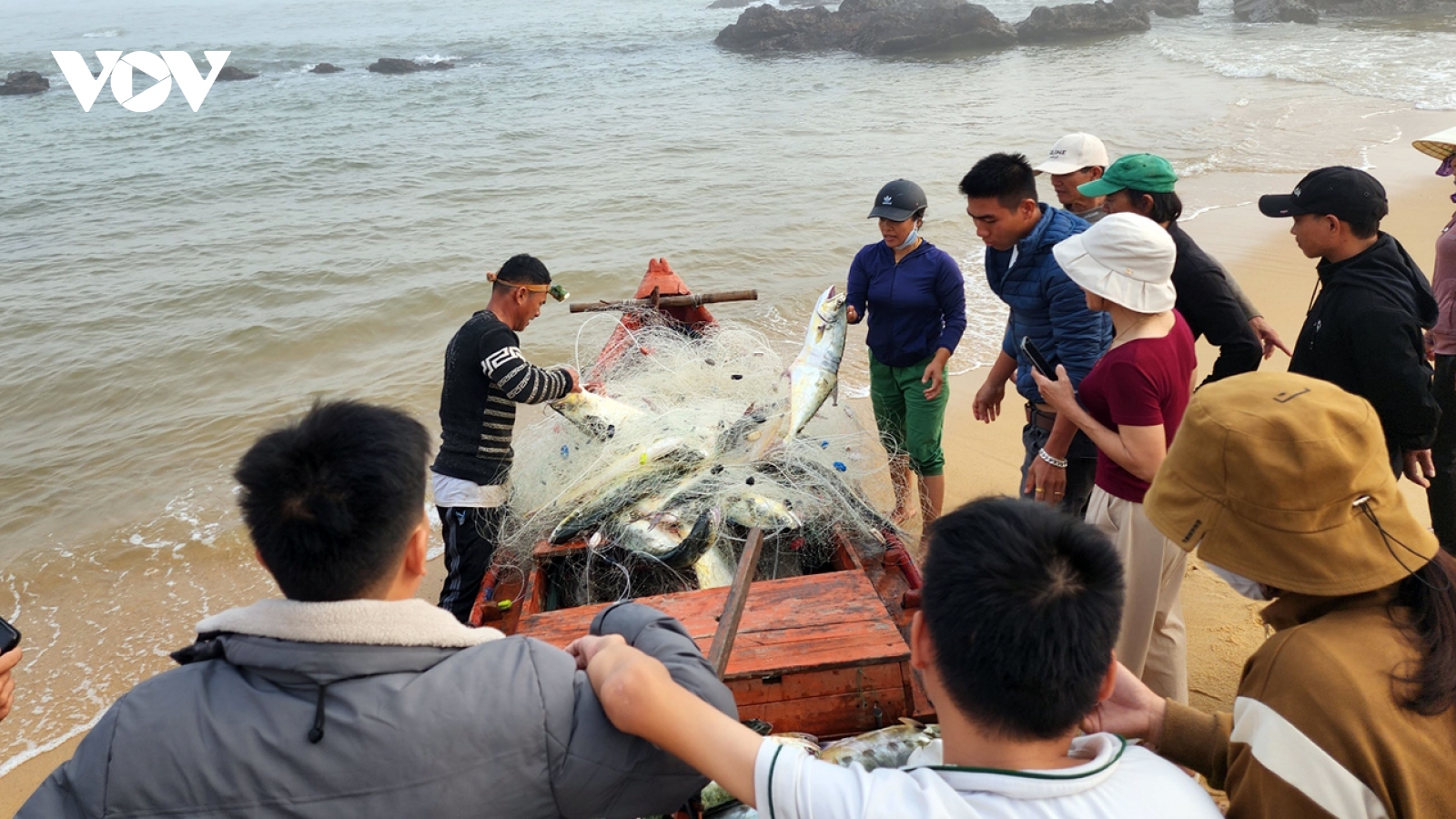 Ngư dân ở Quảng Bình trúng mẻ lưới 100 con cá bè trong chuyến biển đầu năm mới