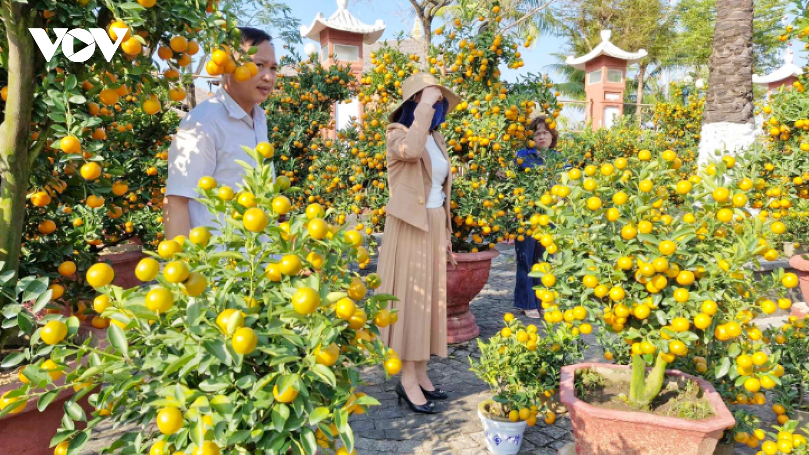Chợ hoa Tết Đà Nẵng trầm lắng, người bán sốt ruột đứng ngồi không yên