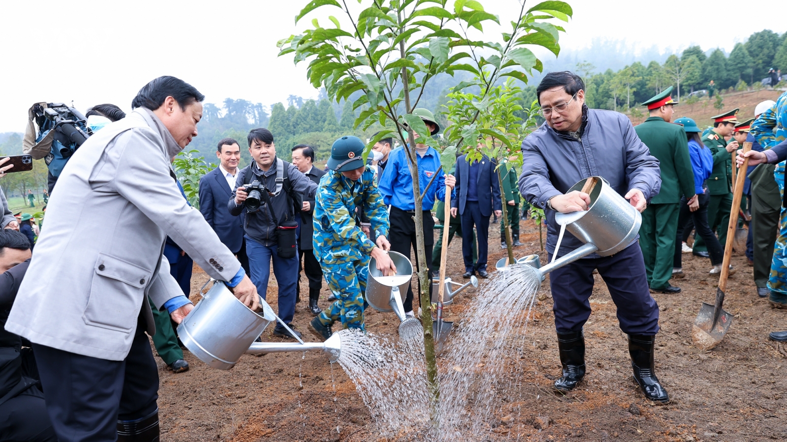 Thủ tướng yêu cầu tổ chức “Tết trồng cây đời đời nhớ ơn Bác Hồ” thiết thực, hiệu quả