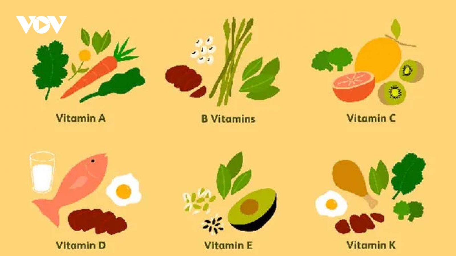 Vitamin giúp tăng cường hệ miễn dịch phòng ngừa nhiễm bệnh
