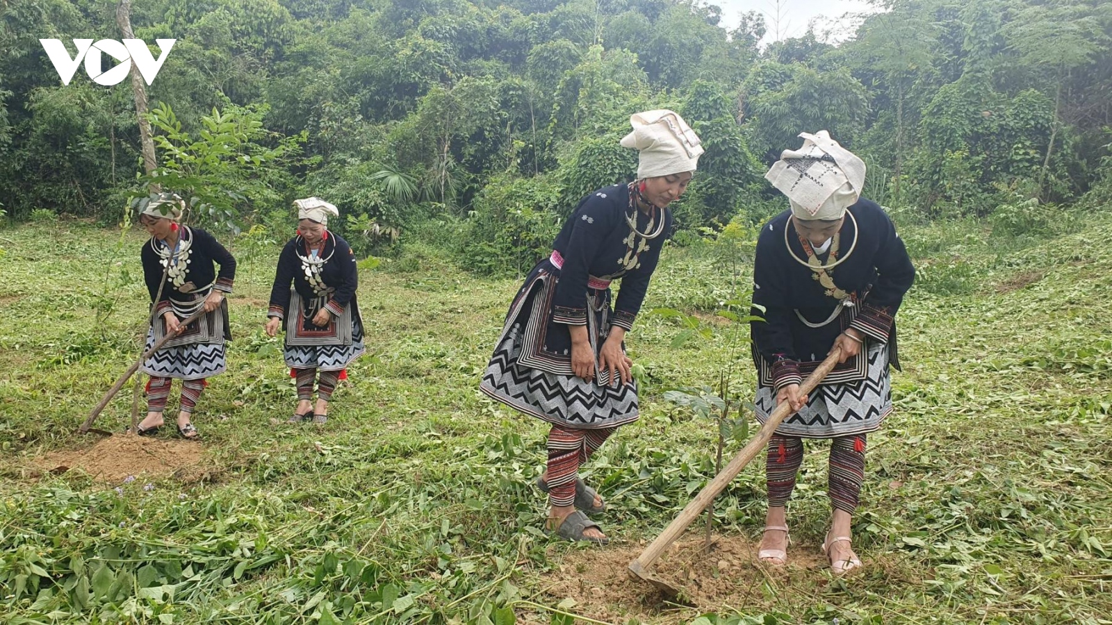 Xuân về trên Bản Ca