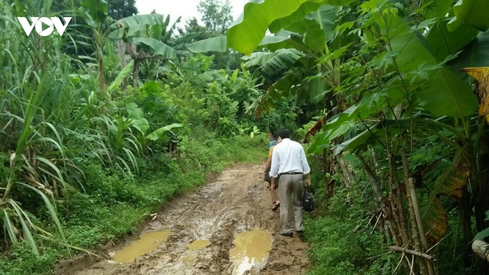 Tết của những người thầy "luồn rừng, lội suối" mời học sinh đến lớp