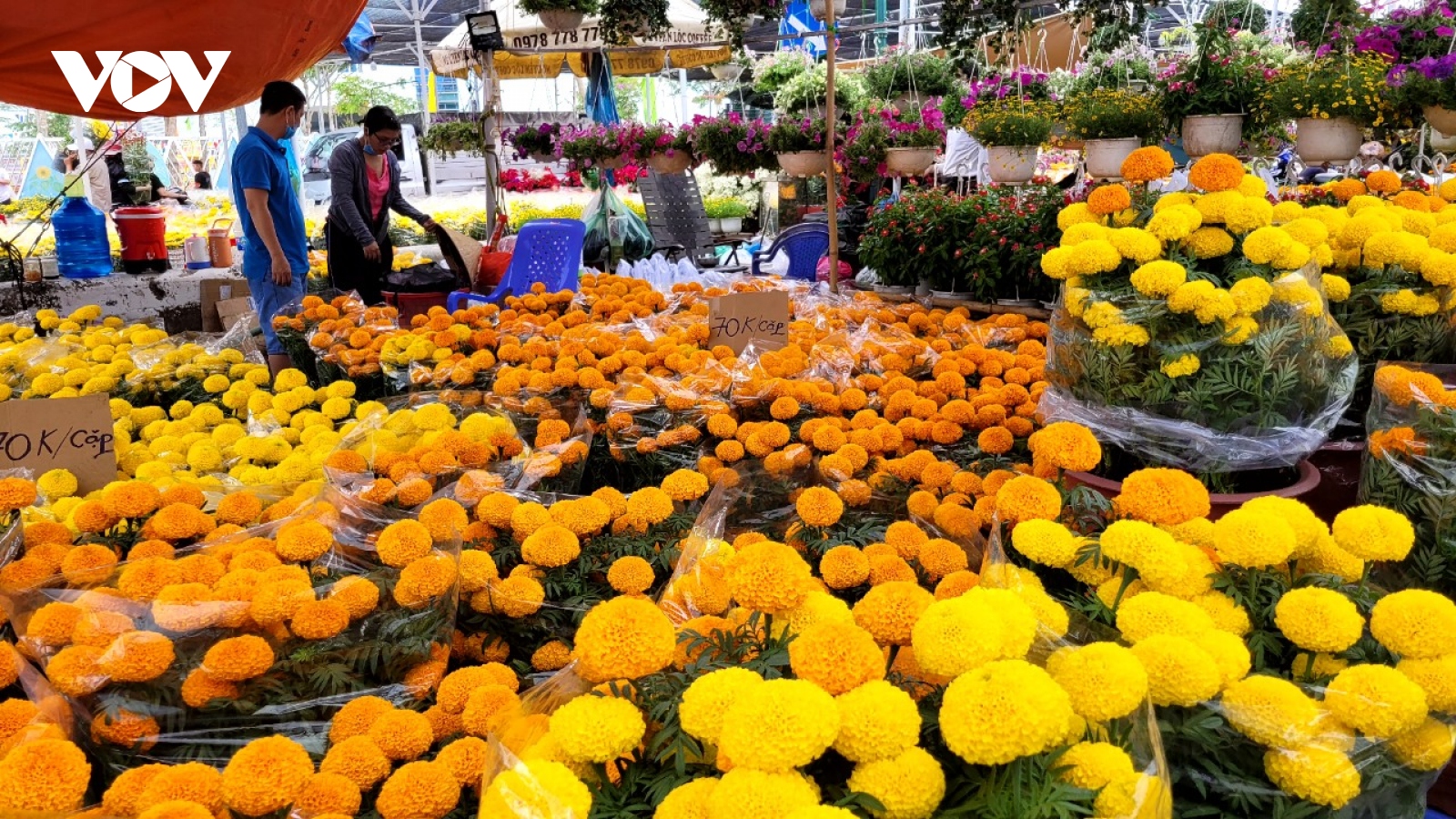 Chợ Hoa Xuân người đi xem nhiều hơn người mua