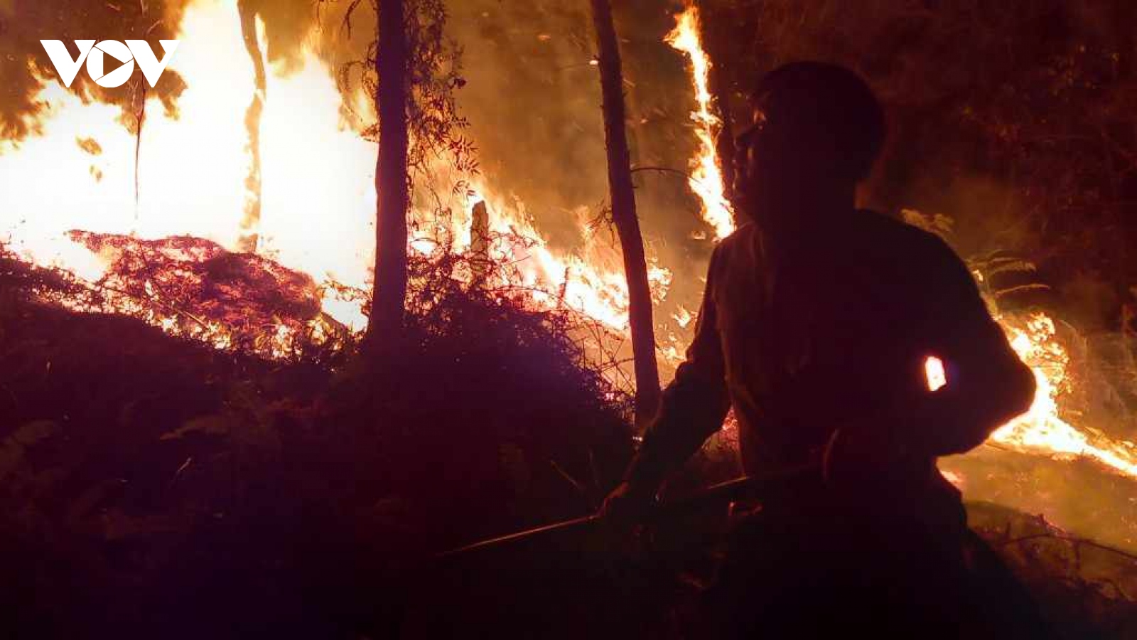 Gần 500 người tham gia khống chế cháy rừng ở Nghĩa Lộ (Yên Bái)