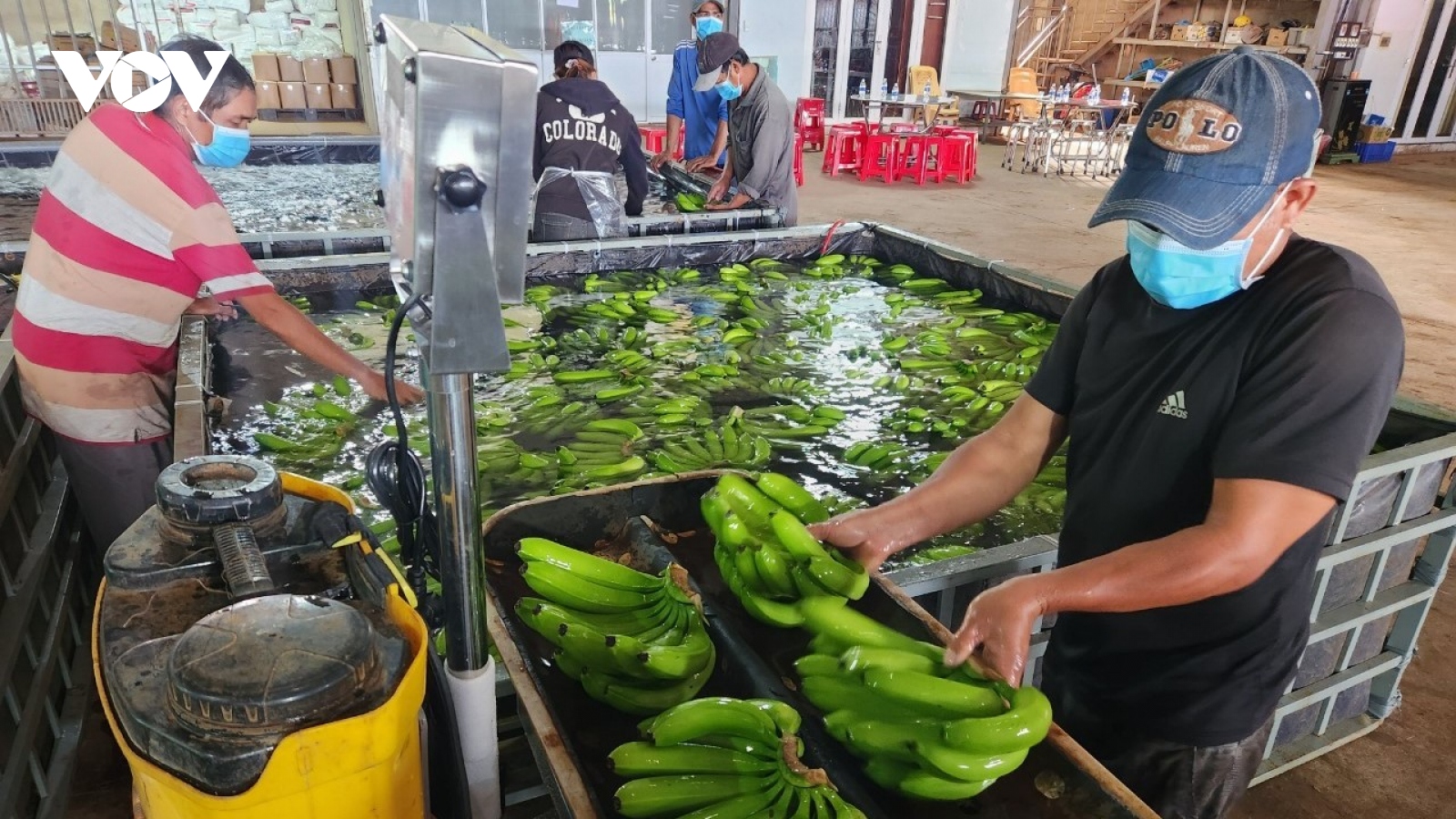 Ngành rau củ quả Việt Nam giao thương trực tiếp để tăng giá trị xuất khẩu