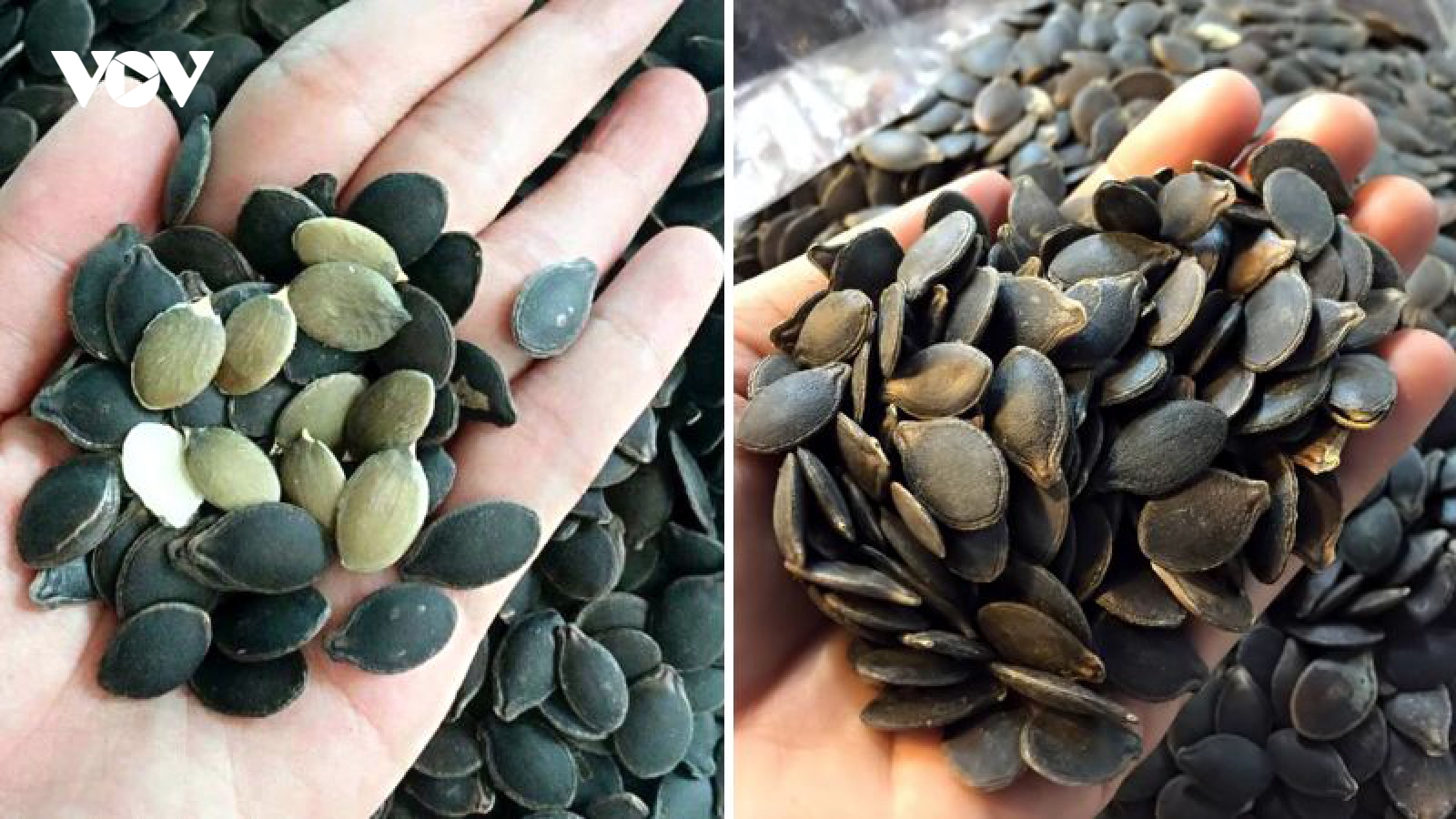 Loại hạt đen sì giá đắt vẫn được nhiều người mua