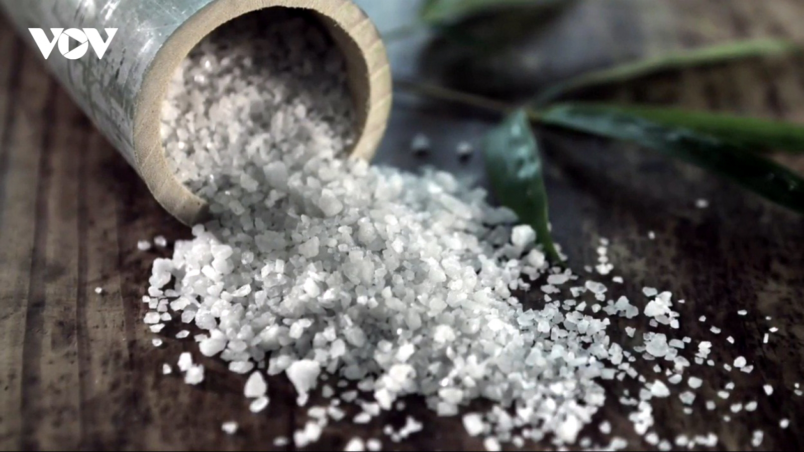 Muối ăn bổ dưỡng đắt nhất thế giới, có giá 400 USD/kg