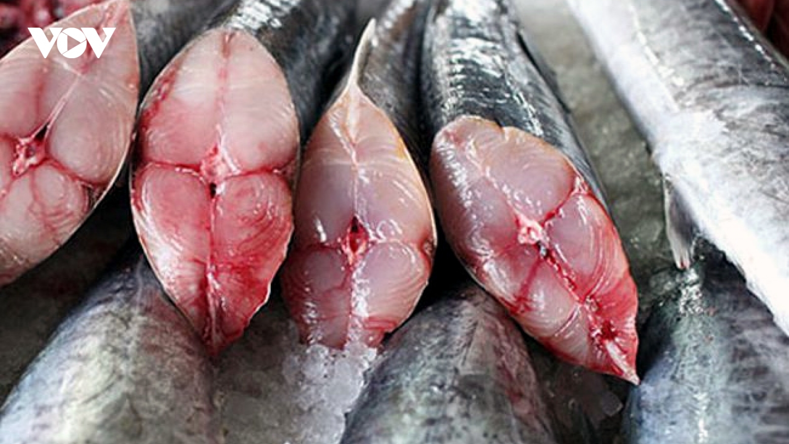 Loại cá chứa Omega-3 bán đầy chợ Việt, rẻ hơn nhiều so với cá hồi