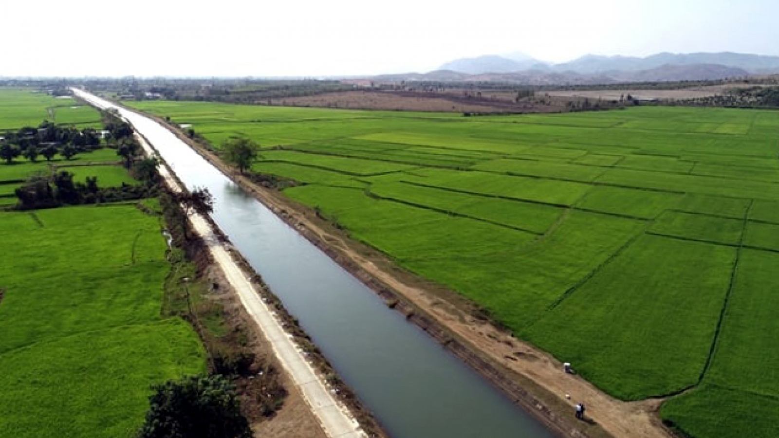 Xóa đói giảm nghèo từ thương hiệu “Gạo Phú Thiện”