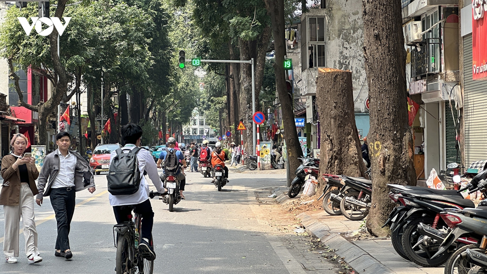 Đốn hạ cây sao đen trên phố Lò Đúc: Công ty cây xanh Hà Nội nói gì?