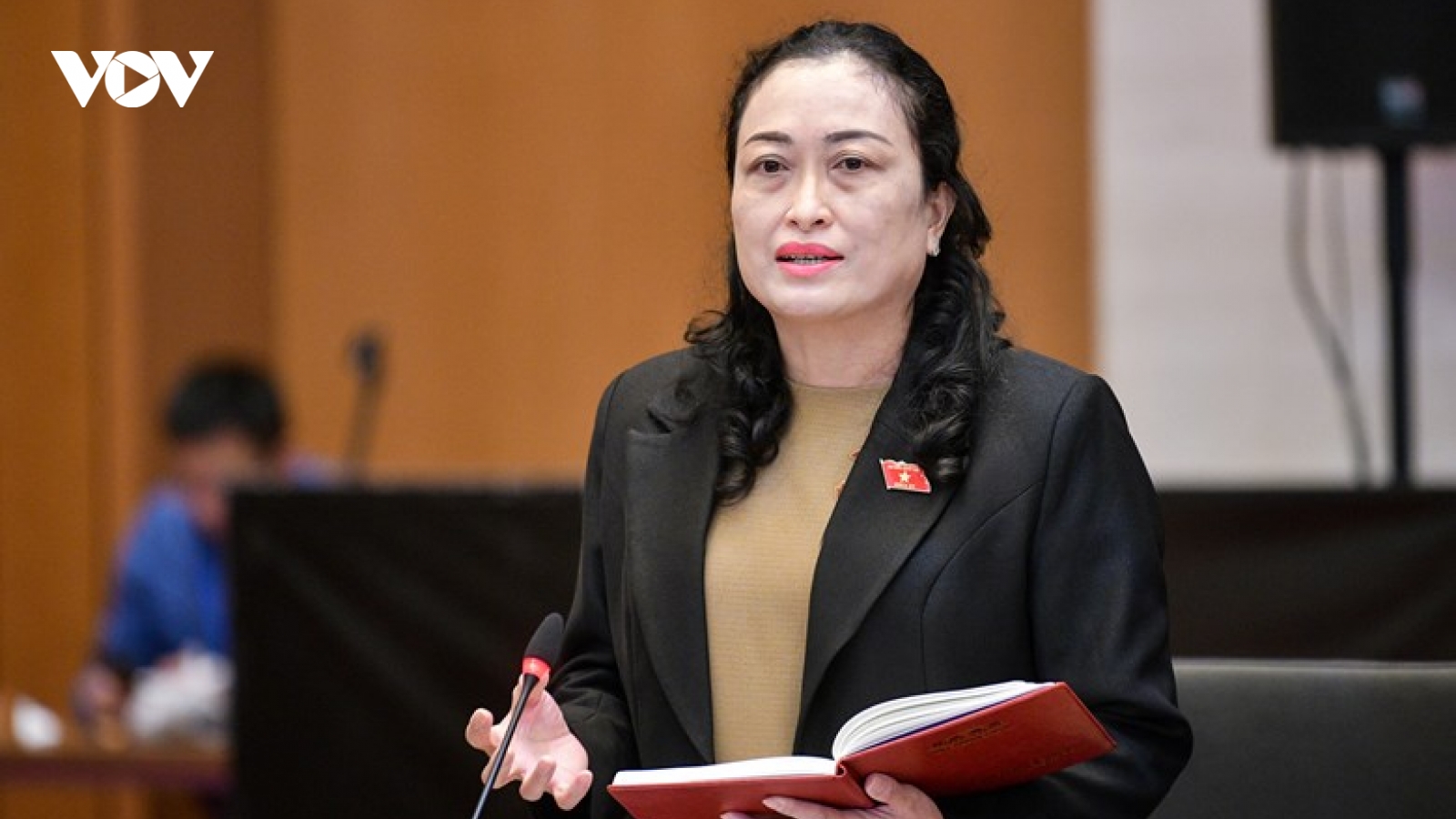 ĐBQH vẫn băn khoăn việc rút BHXH một lần
