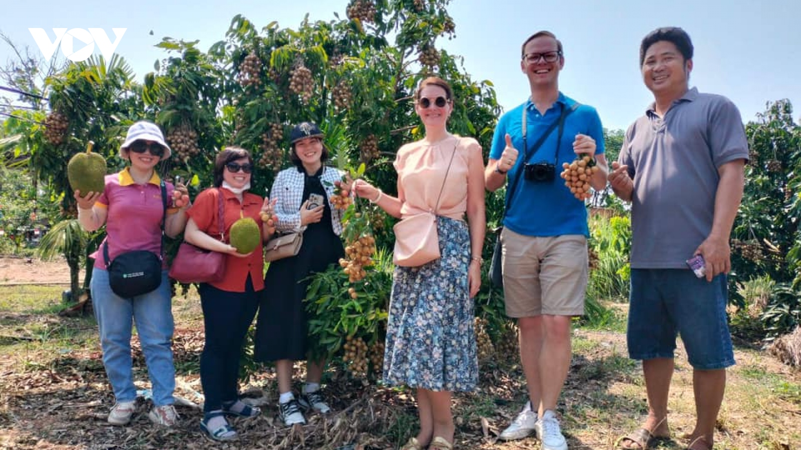 Phát triển kinh tế từ du lịch nông nghiệp, nông thôn tại Buôn Đôn, Đắk Lắk