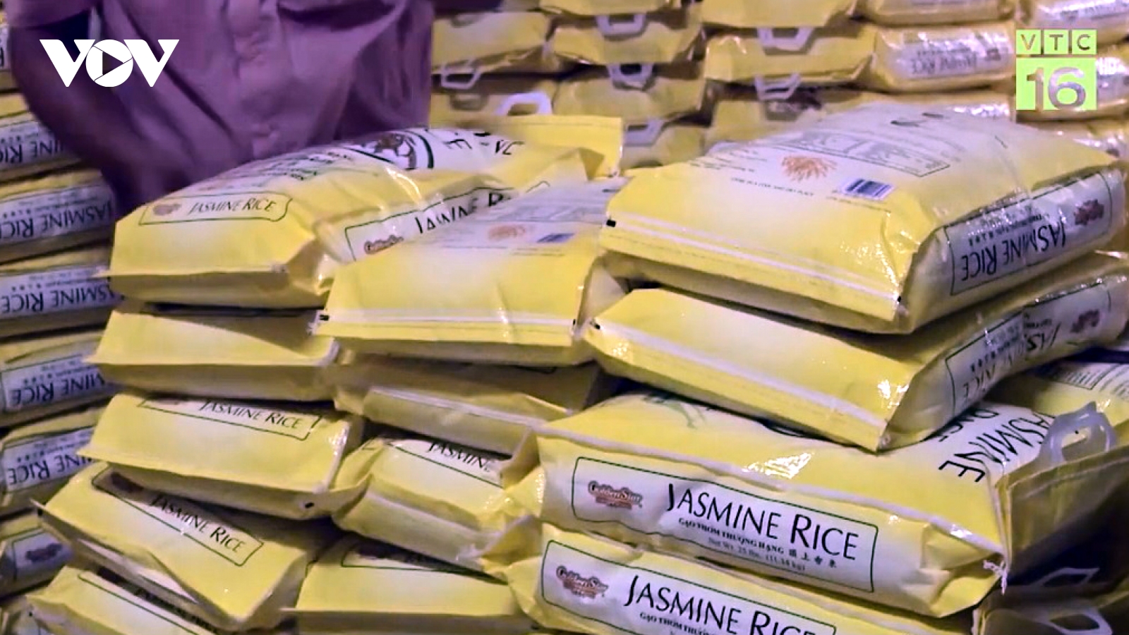 Xuất khẩu hàng hóa linh hoạt thích ứng với biến động thị trường