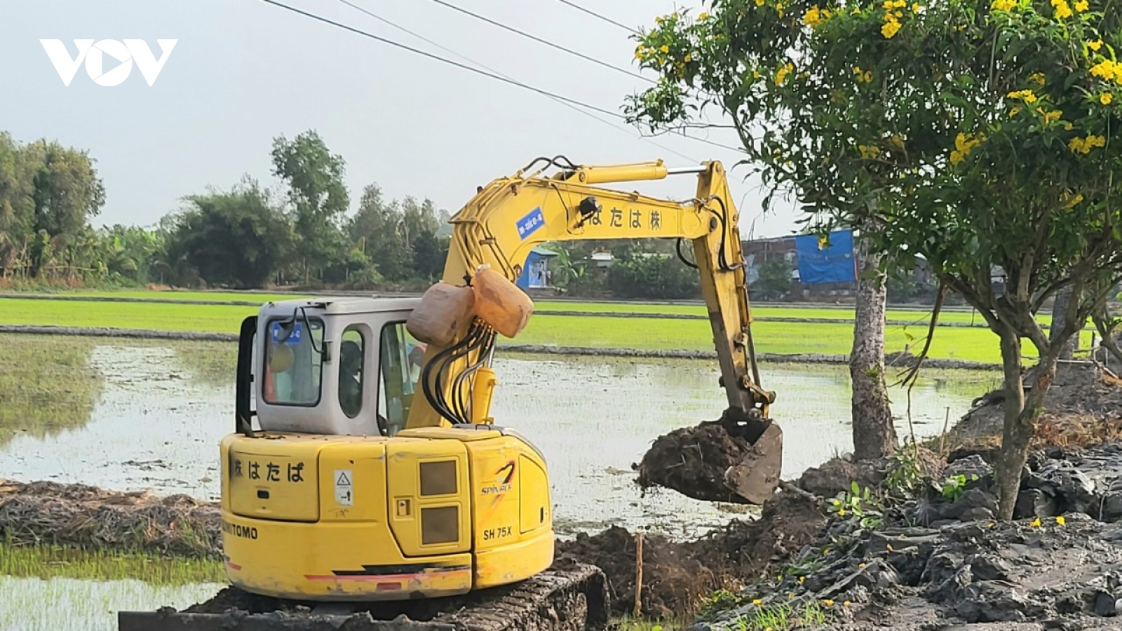 Dự báo thiếu nước ngọt tại nhiều địa phương tại Hậu Giang do hạn, mặn xâm nhập