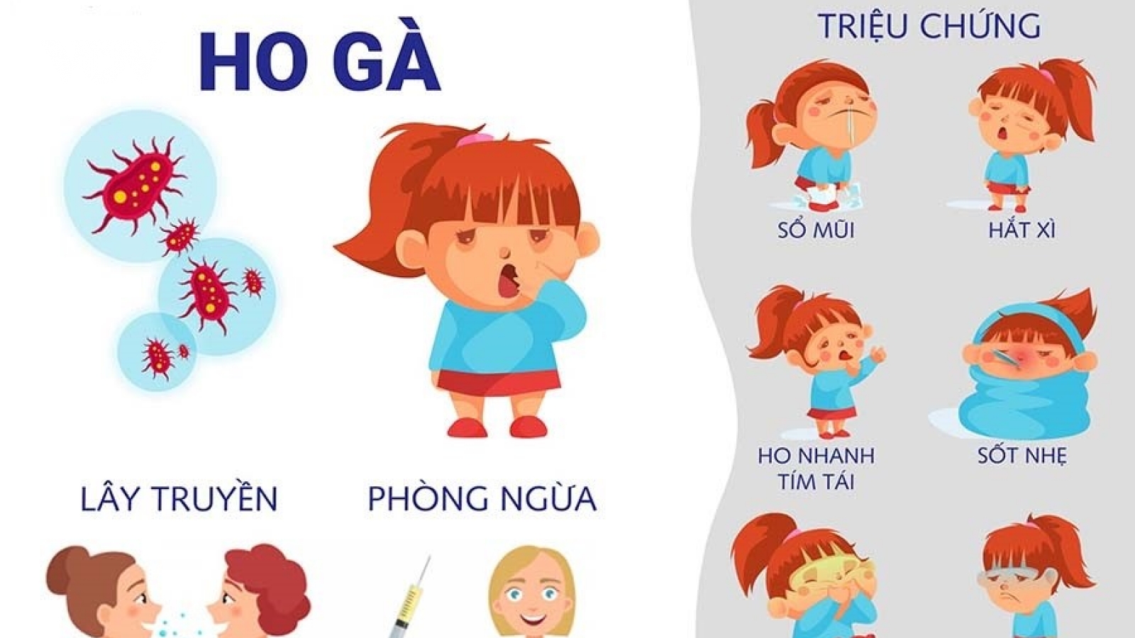 Các biện pháp phòng chống bệnh ho gà và các bệnh dự phòng bằng vaccine