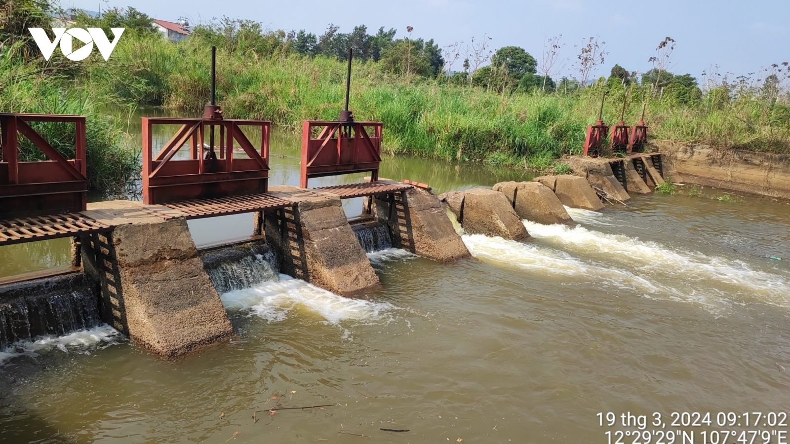 Đưa nước về cứu cây trồng ở vùng “rốn hạn” Đắk Nông