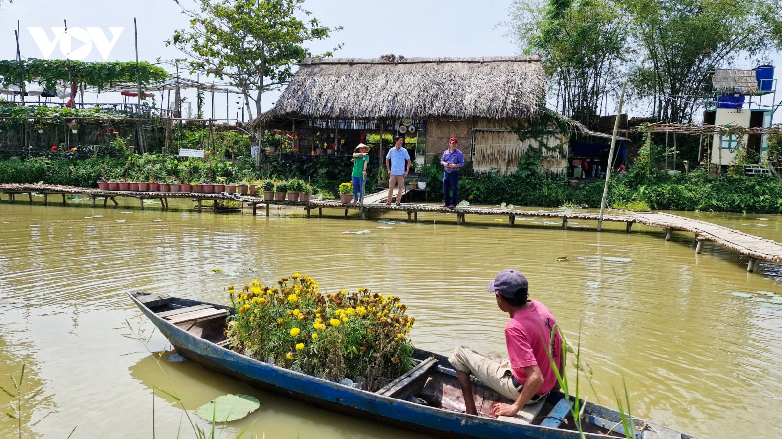 Du lịch nông nghiệp tại Quảng Nam thu hút khách tham quan