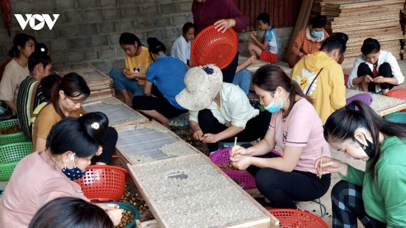 Động lực thúc đẩy nông nghiệp Sơn La bứt phá
