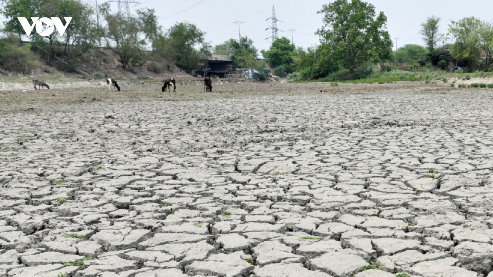 Ấn Độ chuẩn bị đón mùa hè nóng hơn trong năm nay vì El Nino