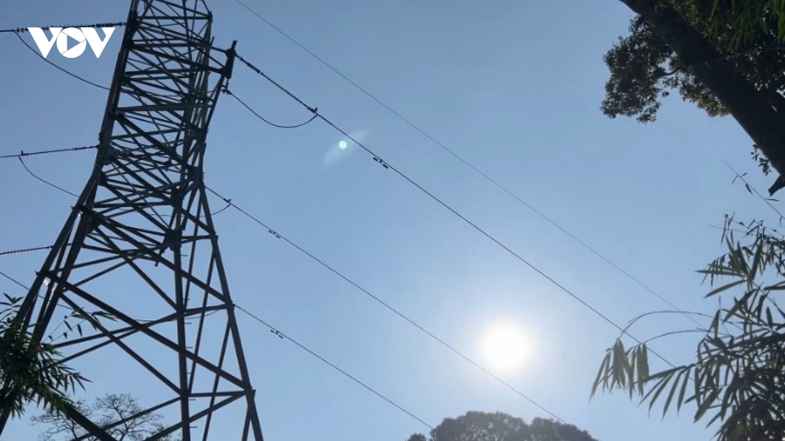 Công an tỉnh Quảng Nam khẩn trương điều tra vụ phá rừng làm đường đây điện 110kV