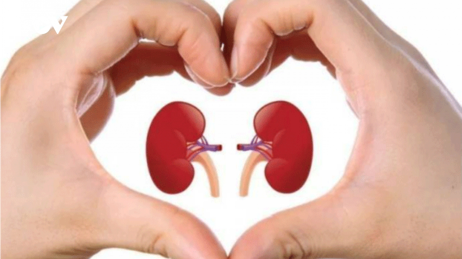 5 thói quen tốt vào buổi sáng giúp thận luôn khỏe mạnh