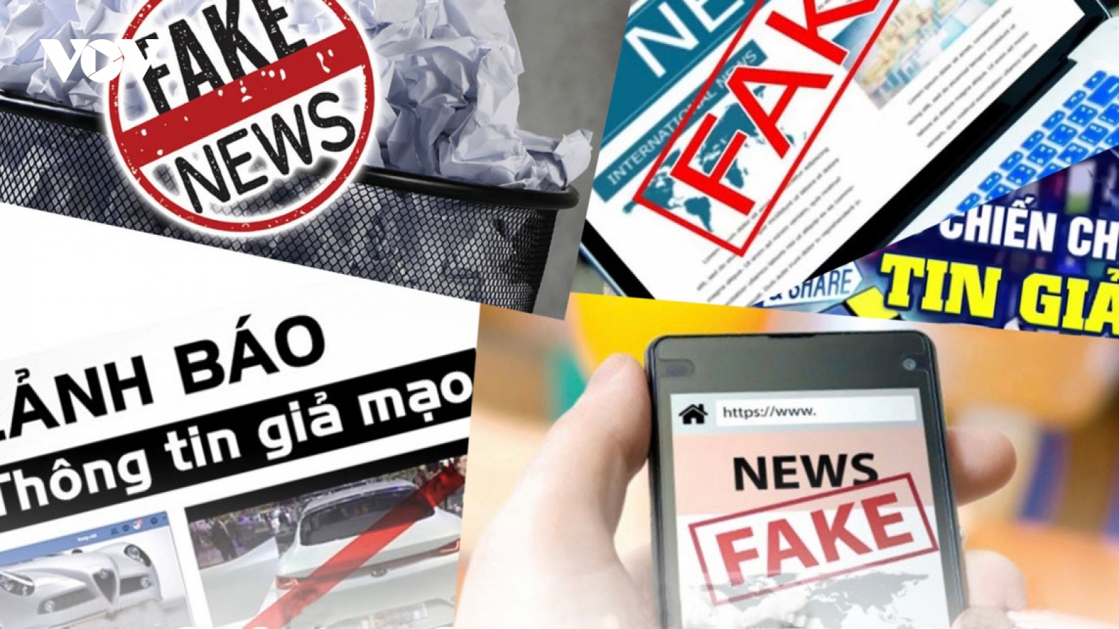 Ứng xử với tin giả trên môi trường mạng internet như thế nào?