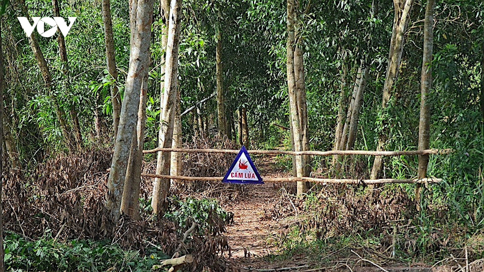 Hơn 8.000 ha rừng ở lâm phần U Minh hạ báo cháy cấp cực kỳ nguy hiểm