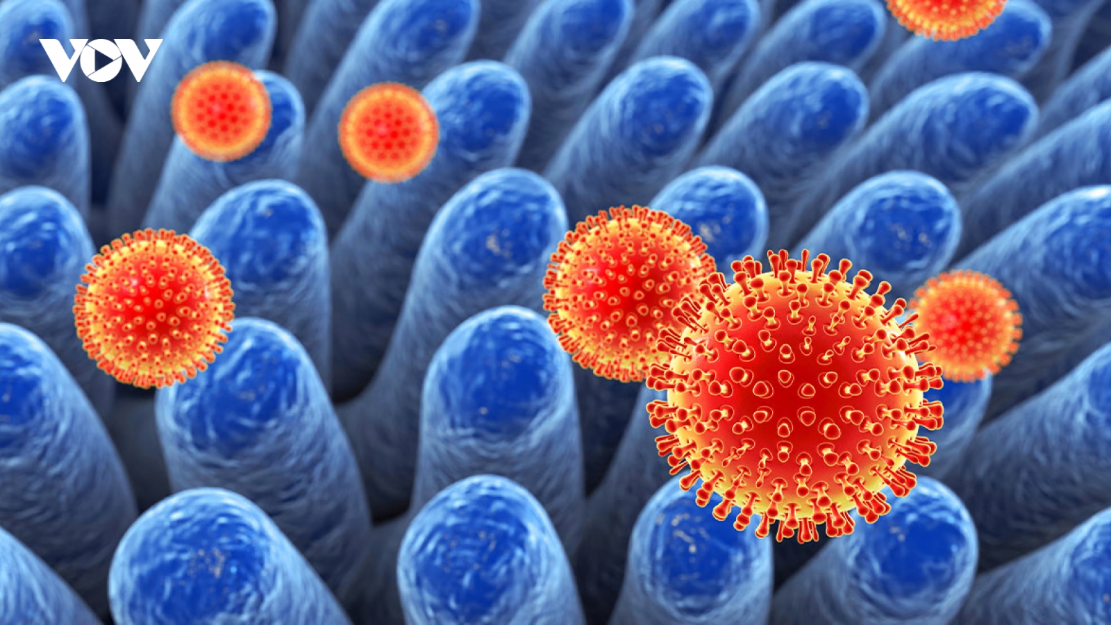 Virus Rota có thể gây nguy hiểm như thế nào đối với trẻ nhỏ?