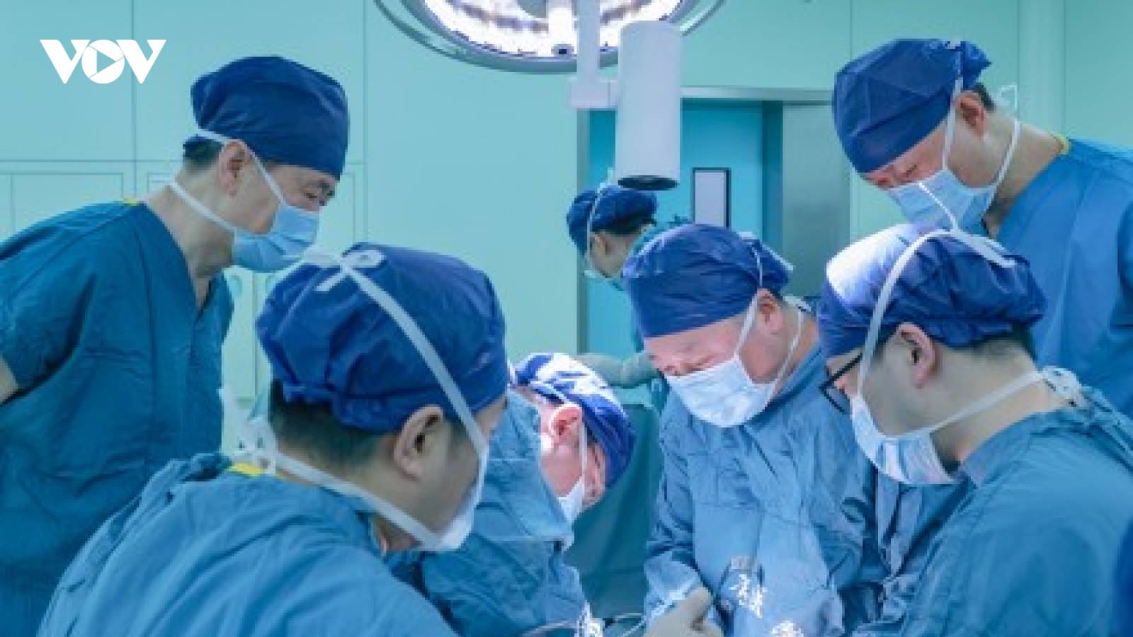 Trung Quốc cấy ghép thành công thận lợn chỉnh sửa gen cho người chết não
