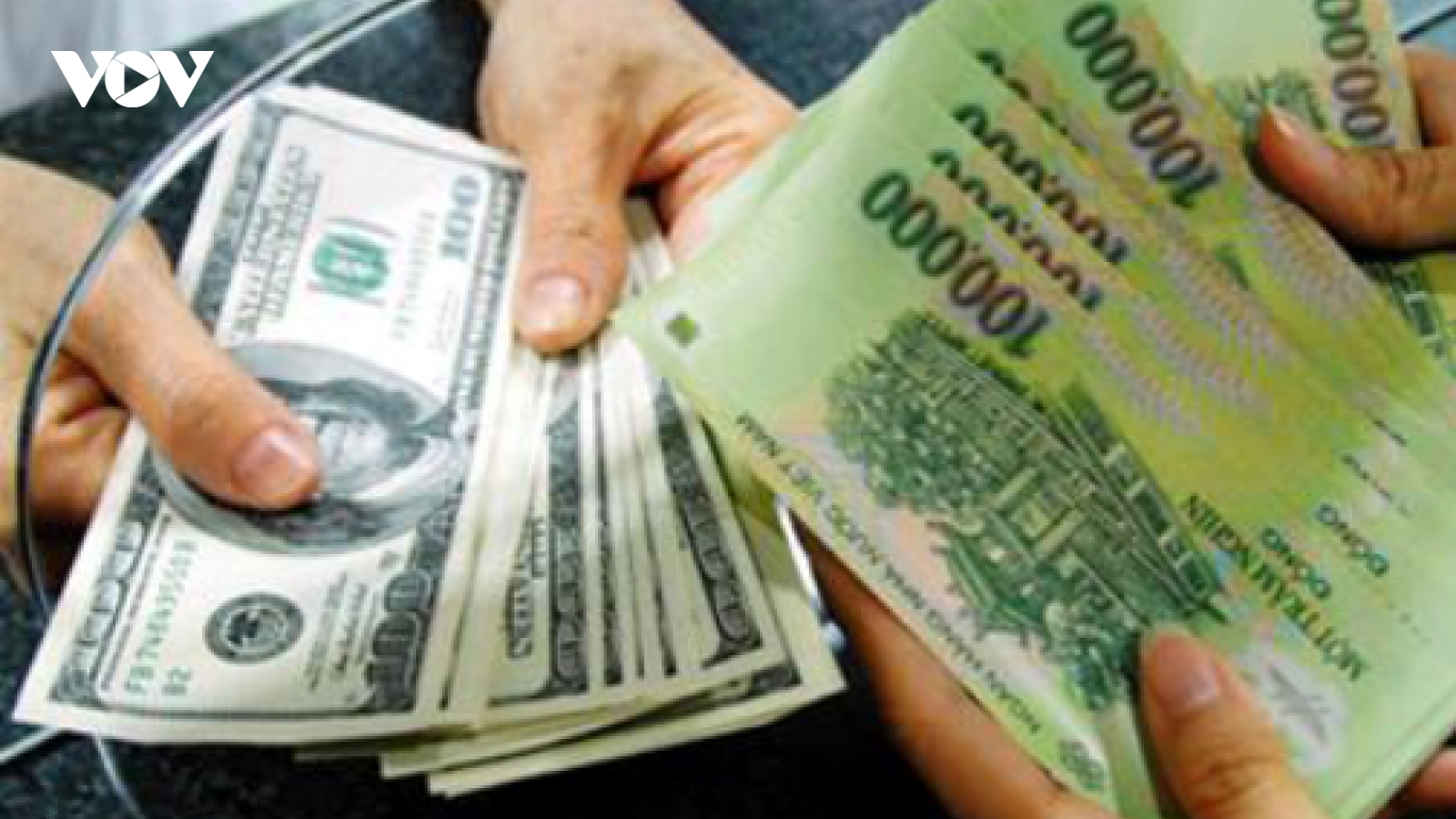 Tỷ giá giữa đồng Việt Nam và USD sẽ hạ nhiệt trong quý II này