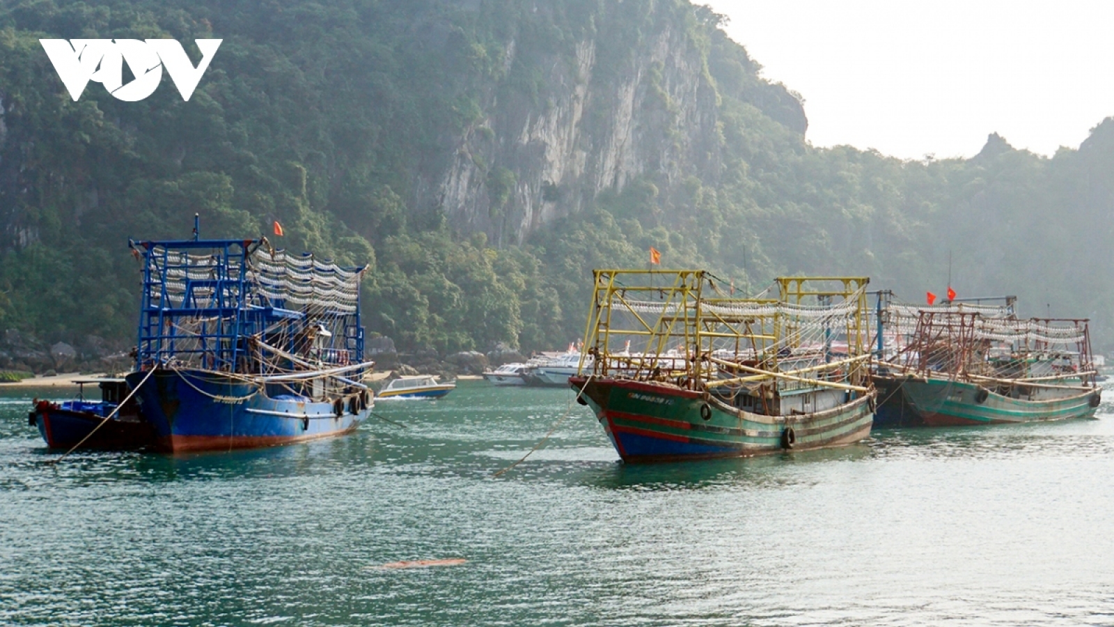 Chống khai thác IUU, vai trò của địa phương trong giữ hình ảnh quốc gia