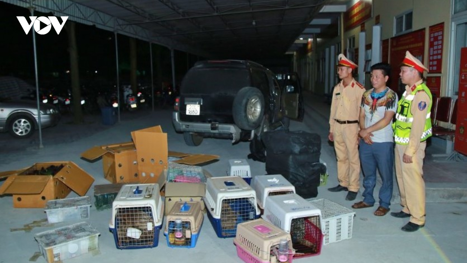 Khám chiếc xe nghi vấn phát hiện 21 thùng hàng chứa 420 cá thể động vật hoang dã