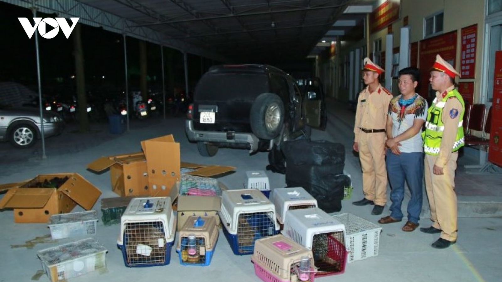 Khám chiếc xe nghi vấn phát hiện 21 thùng hàng chứa 420 cá thể động vật hoang dã