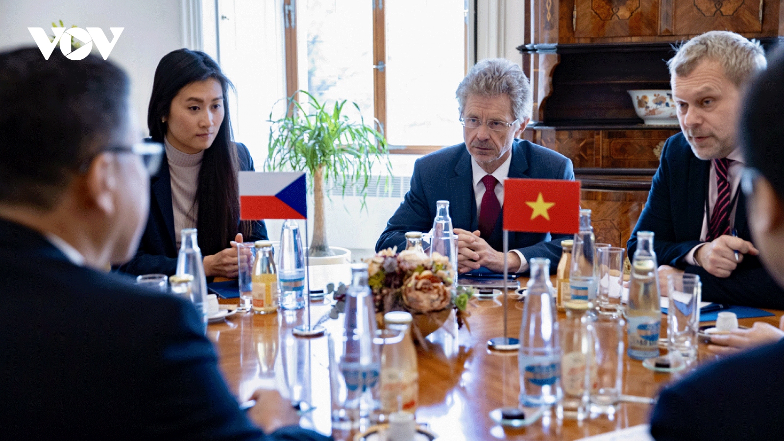 Chủ tịch Thượng viện Cộng hòa Séc đánh giá cao tiềm năng và vị thế của Việt Nam