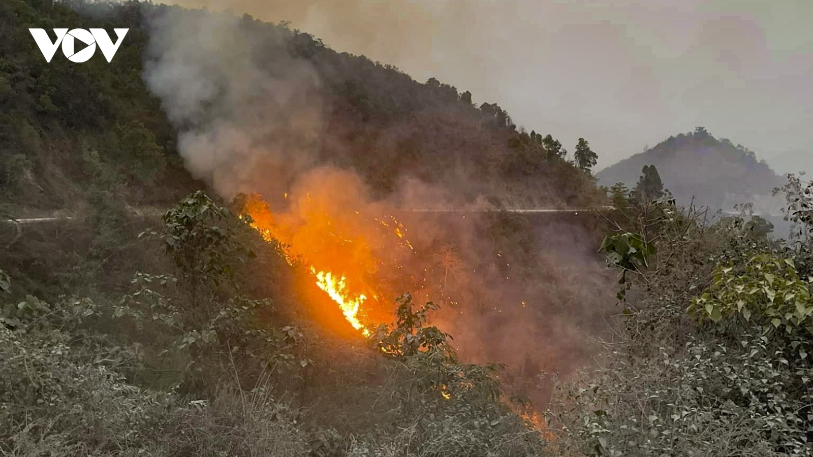 Điện Biên ban hành công điện khẩn tăng cường phòng, chống cháy rừng