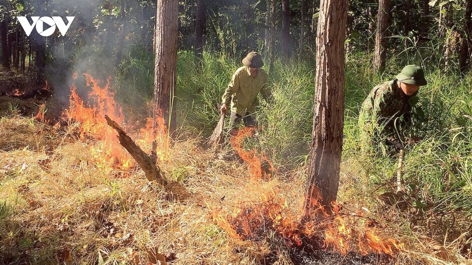 Nhiều diện tích rừng ở Đắk Lắk có nguy cơ cháy ở cấp cực kỳ nguy hiểm