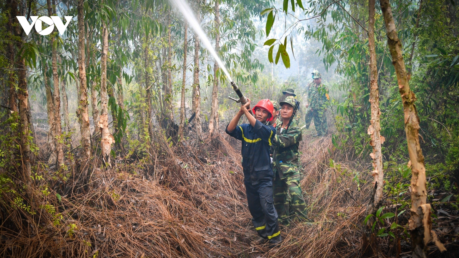 Kiên Giang: hơn 550 chiến sĩ tham gia chữa cháy rừng tại huyện Giang Thành